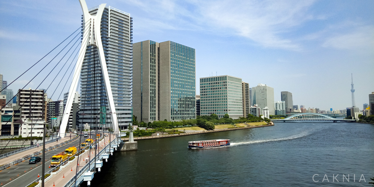 Sumida River Bridge (éš…ç”°å·æ©‹)